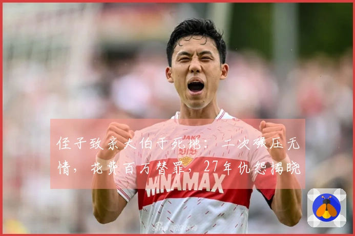 侄子致亲大伯于死地：二次碾压无情，花费百万替罪，27年仇怨揭晓