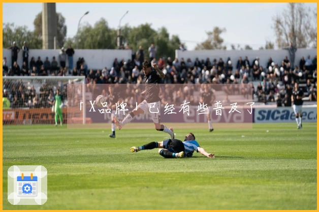 「X品牌」已经有些普及了