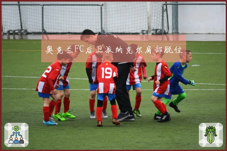 奥克兰FC后卫派纳克尔肩部脱位